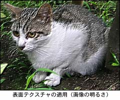 表面テクスチャの適用