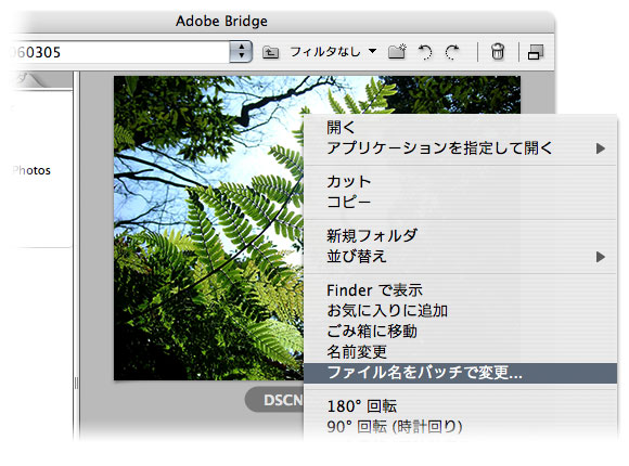 Adobe Bridge でcontrol キーを押しながらクリック